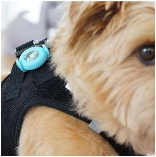Productafbeelding Curli Luumi LED blauw (Hond, Hondensport)
