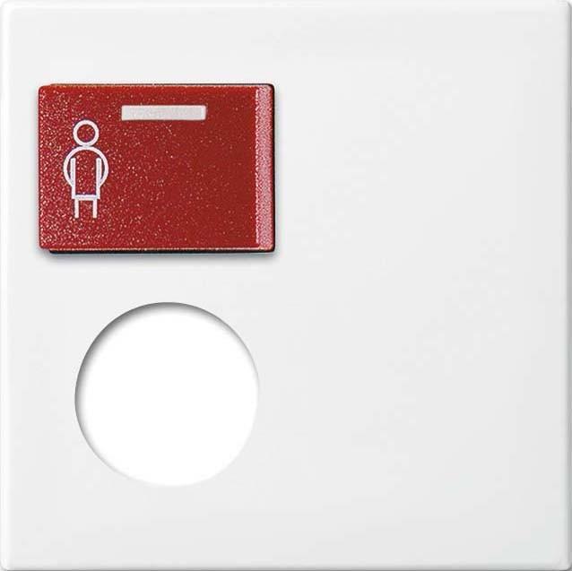 Produktbild Busch-Jaeger Zentralscheibe