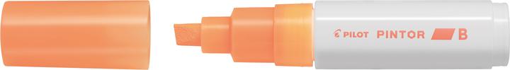 Image du produit Pilot PINTOR - Marqueur (1x)