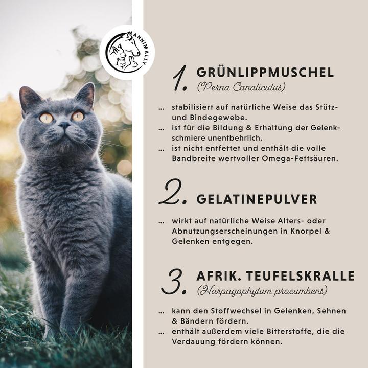 Produktbild Annimally Gelenk Komplex (Senior, Adult, 1 Stk., 120 g)