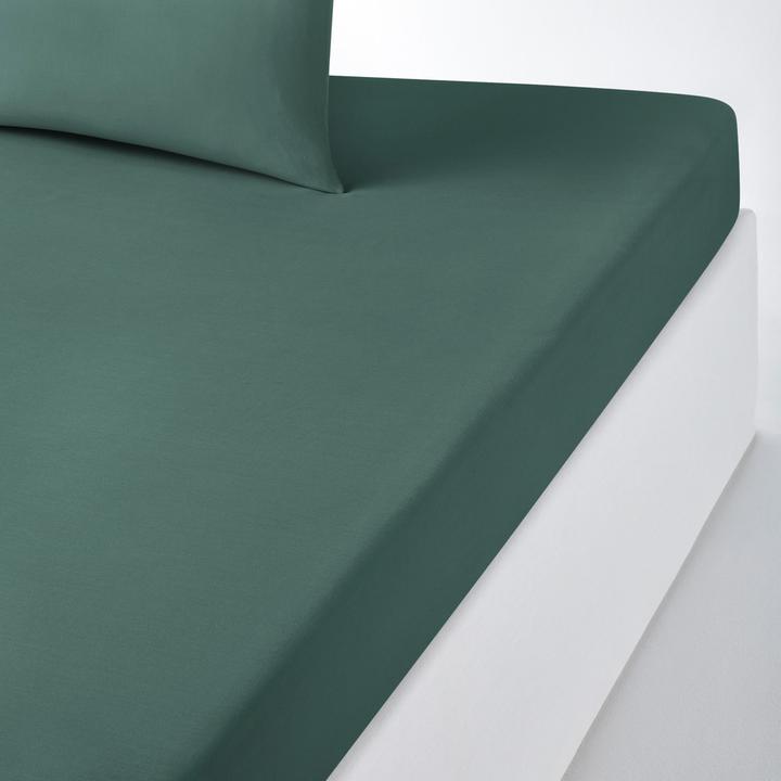 Immagine prodotto La Redoute Interieurs Scenario Coton (Copripiumino, 120 x 190 cm)
