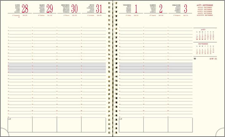 Image du produit Exacompta Agenda SAD 22W Linicolor