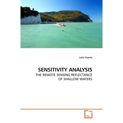 Thumbnail - Sensitivity Analysis, Fachbücher von Julio Duarte
