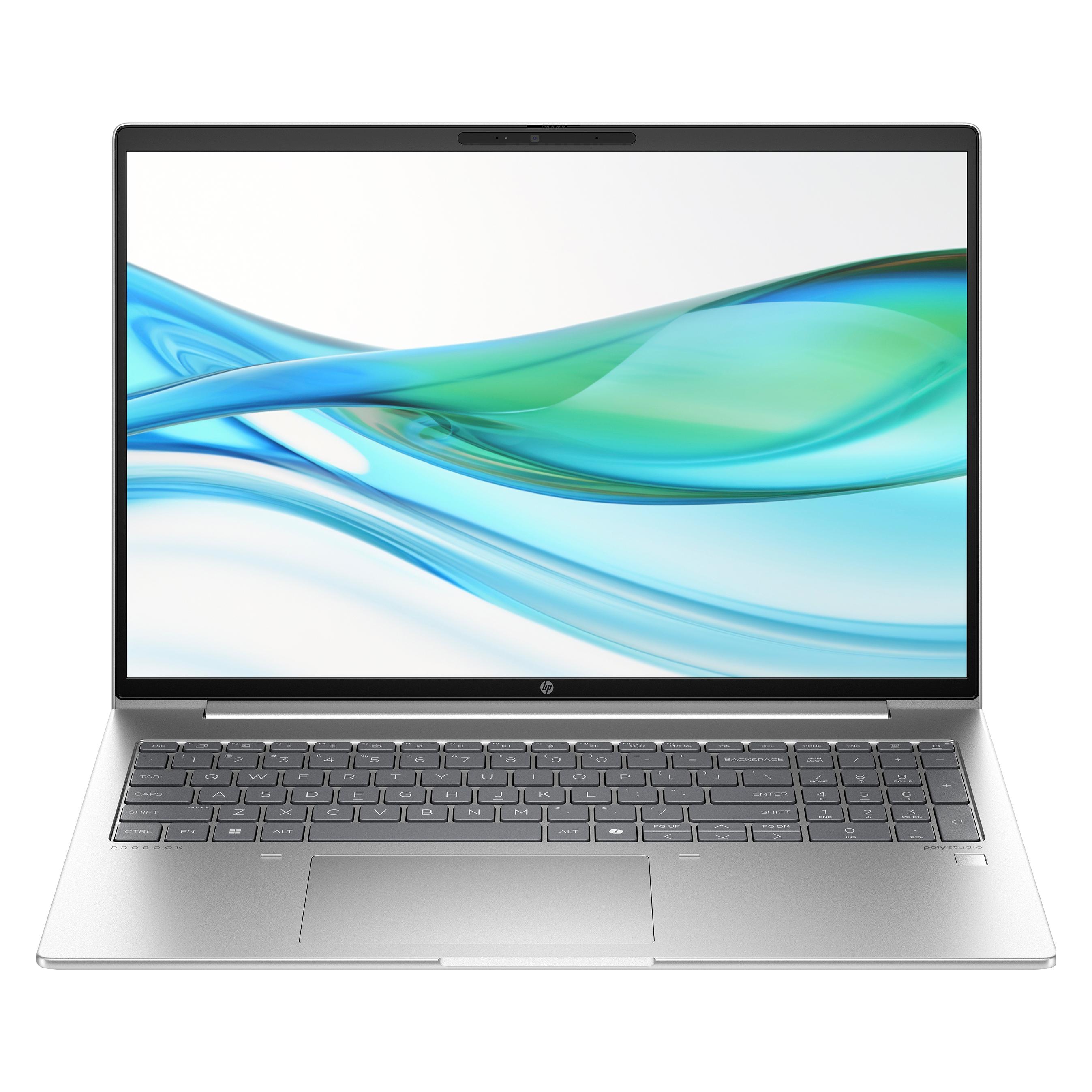 HP ProBook 460 G11 (16", 512 GB, 16 GB, DE, Intel Core Ultra 5 125U), Notebook, Silber