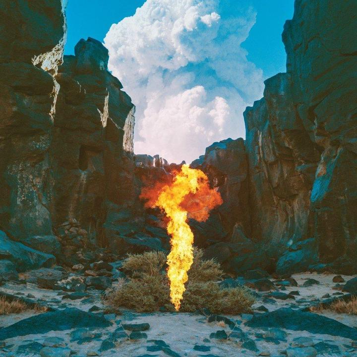 Produktbild Migration (Bonobo)