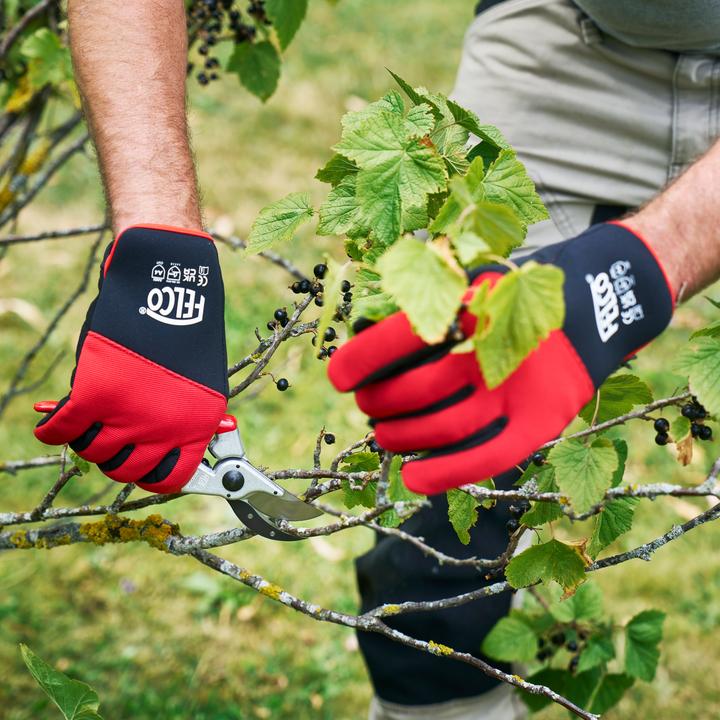 Actual product image Felco 704M Cut-resistant gloves, size M (M)