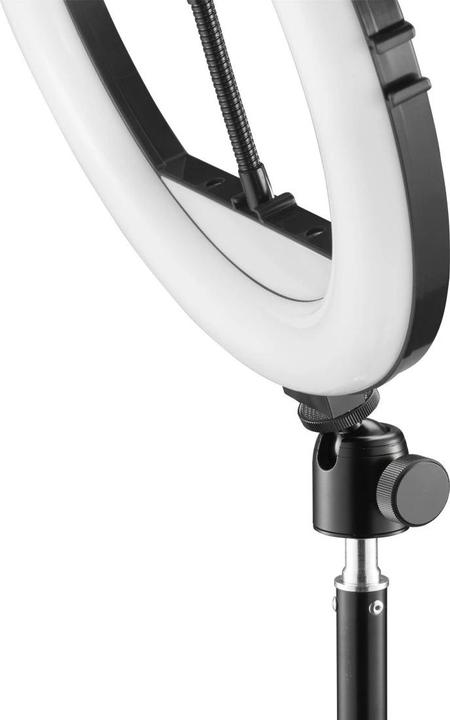 Actual product image Hama SpotLight Steady 120 III (Ring light)