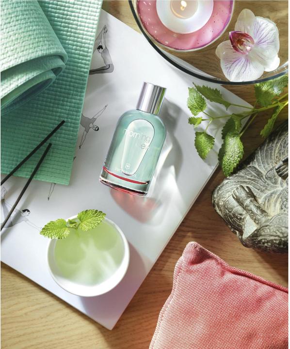 Image du produit Victorinox Morning Dew (Eau de toilette, 100 ml)