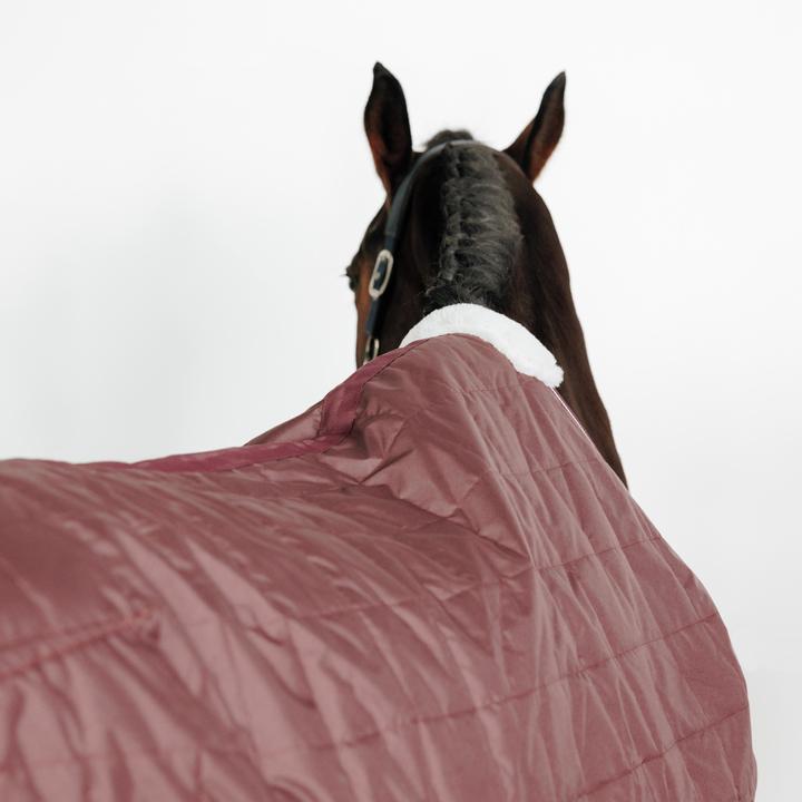 Image du produit Fouganza Combo (165 cm)