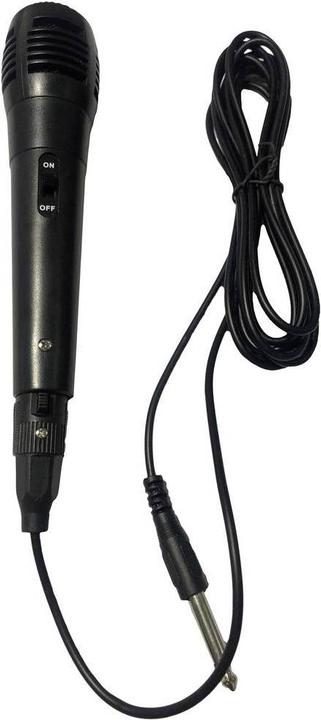 Actual product image R-Music BOOSTER M Party Loudspeaker (1 pc.)