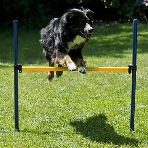 Immagine prodotto Petcenter Set agilità XXL - 1 tunnel 60x152 cm, 8 aste da slalom, 2 salti, 1 fascia da boxe (Taglia unica, Destrezza)