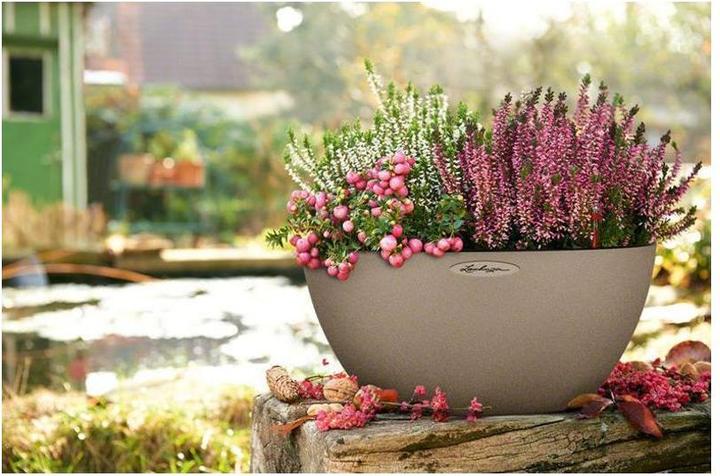 Actual product image Lechuza Cubeto Color (30 cm)