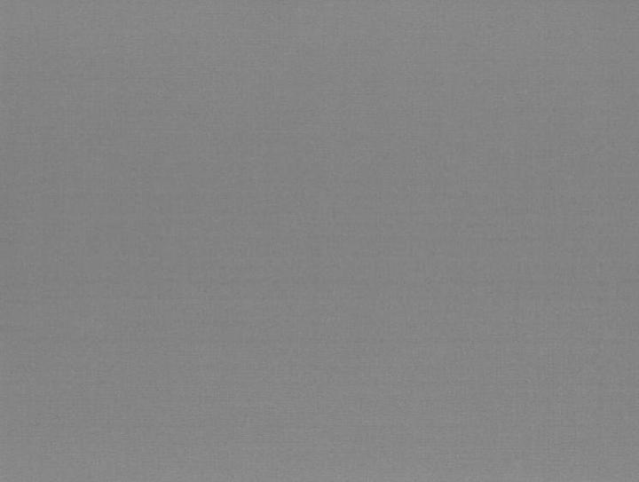 Papstar Placemats (100 pcs., 30 x 40 cm)