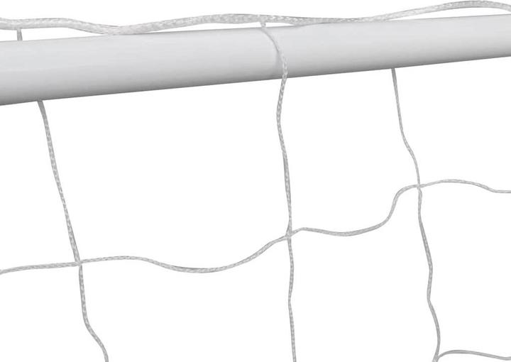 Image du produit vidaXL Fussballtor