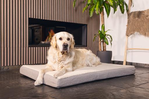 Produktbild Beeztees Zira (Hund)