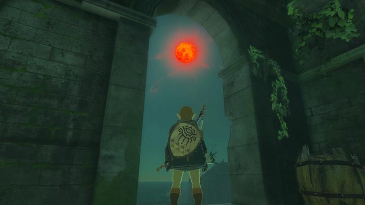 Actual product image Nintendo The Legend of Zelda: Tears of the Kingdom (Switch, Switch Lite, Switch OLED, DE, IT, FR, EN)