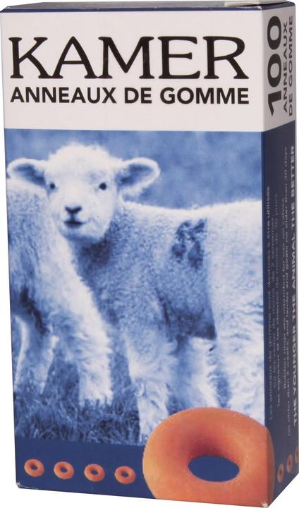 Kamer Gummiringe (100 Stk.)