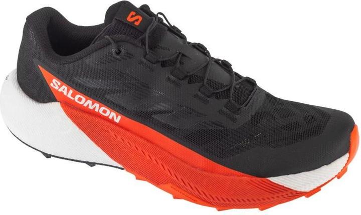 Produktbild Salomon Pulsar Schwarz (42)