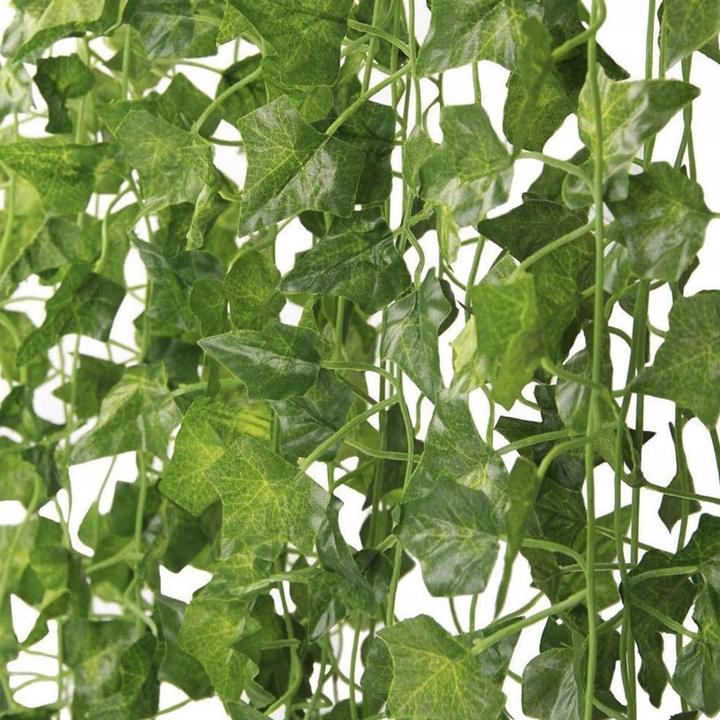 Produktbild Gardlov Efeu-Girlande