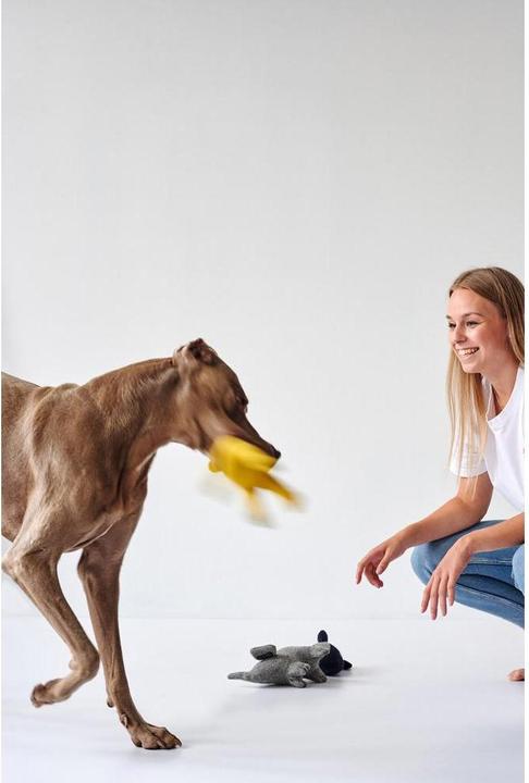 Produktbild Hunter Hundespielzeug Eiby Wal (Plüschspielzeug Hund)