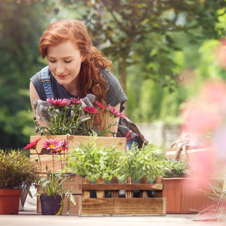 Actual product image Relaxdays Flower box (25.50 cm)