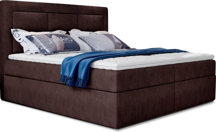 Dark Brown Dora 28
