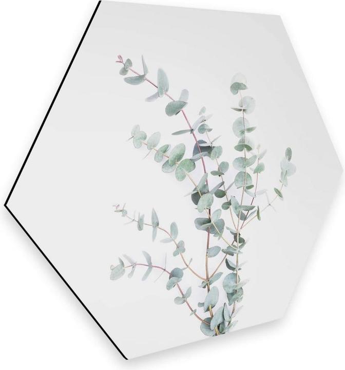 Produktbild Trenddeko Eukalyptuszweig (25 x 22 cm)