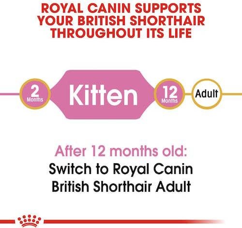 Produktbild Royal Canin British Shorthair Kitten (Junior, 1 Stk., 2000 g)