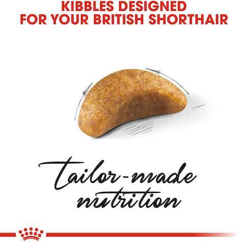 Produktbild Royal Canin British Shorthair Kitten (Junior, 1 Stk., 2000 g)