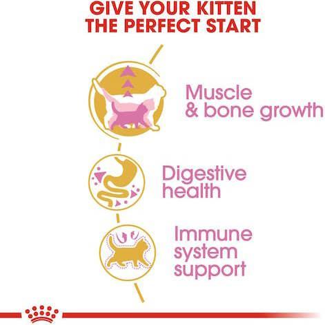 Produktbild Royal Canin British Shorthair Kitten (Junior, 1 Stk., 2000 g)