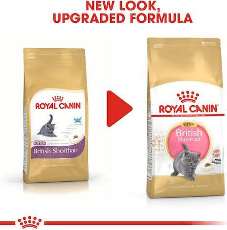 Produktbild Royal Canin British Shorthair Kitten (Junior, 1 Stk., 2000 g)