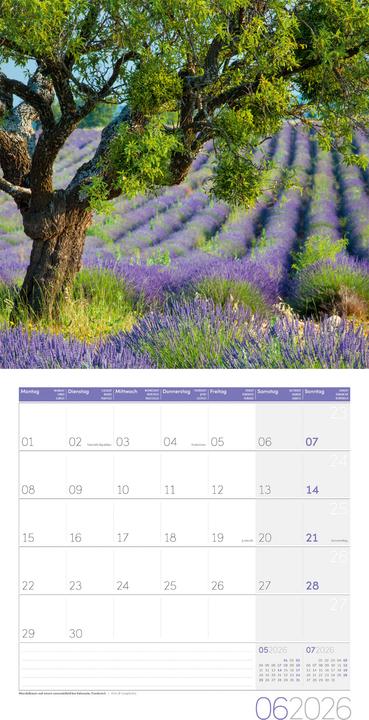 Image du produit Bäume Kalender 2026 - 30x30 (30 x 30 cm, Couverture rigide, Français, Anglais, Allemand, Italien)