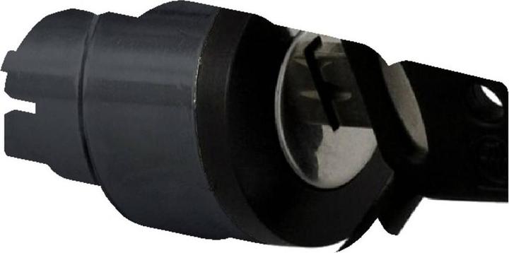 Actual product image Schneider Electric Key switch