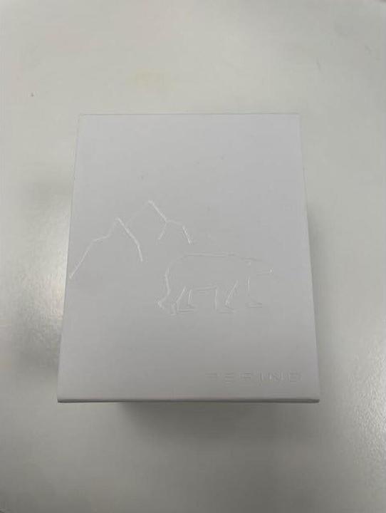 Produktbild Bering Ceramic (Analoguhr, 36 mm)