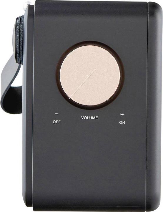 Immagine prodotto Albrecht DR 750 (FM, DAB, Bluetooth)