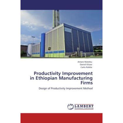 Productivity Improvement in Ethiopian Manufacturing Firms, Fachbücher von Daniel Kitaw, Amare Matebu, Carlo Rafele