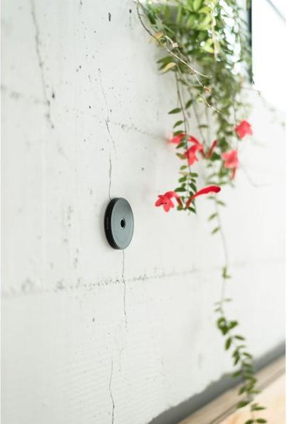 Actual product image Moment MagSafe - its own innovation