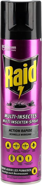 Raid Multi Insekten-Spray (400 ml)
