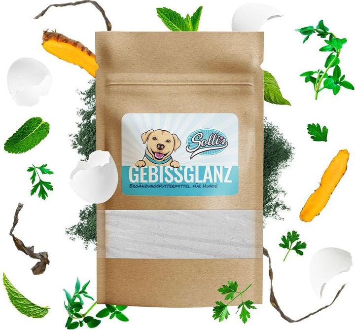 Sollis Ergänzungsfutter Gebissglanz - Dentalpulver 100g (Adult, Junior, Senior, 1 Stk., 100 g)