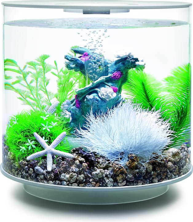 Immagine prodotto Oase biOrb Aquarium 15 Set di Decori (Decorazione, Piante)