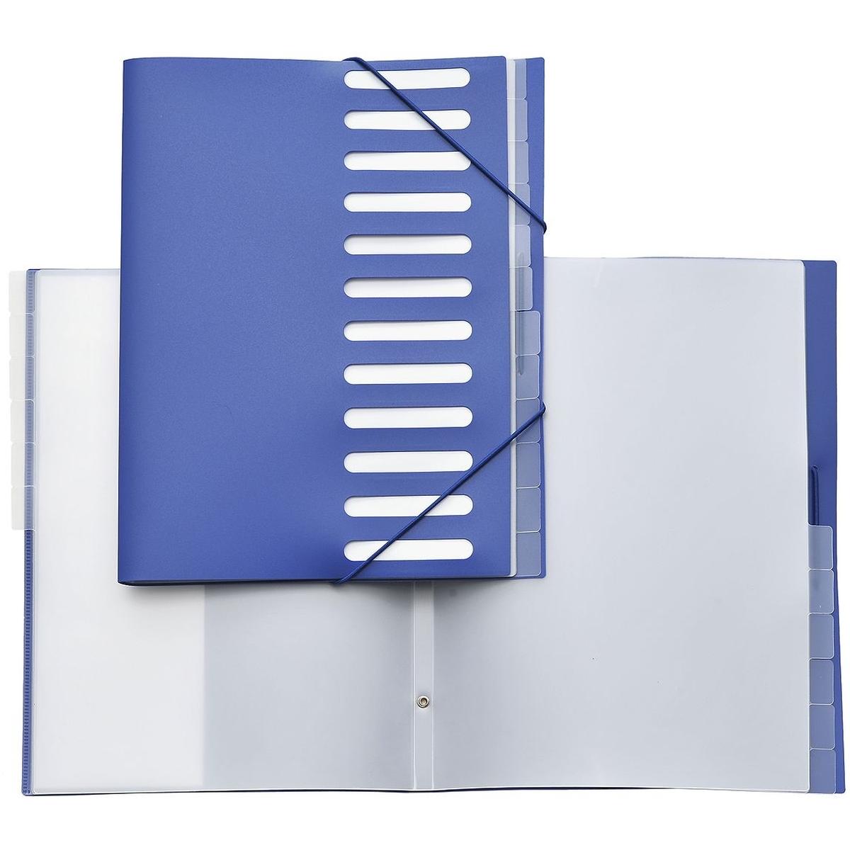Foldersys, Mappe, Ordnungsmappe A4 PP 12 Fächer blau (A4, 1 x)