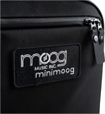 Actual product image Moog Model D SR Case