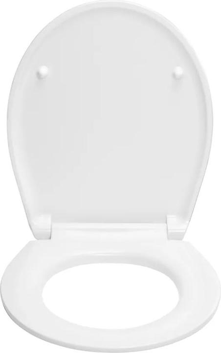 Produktbild Diaqua Nancy Lion