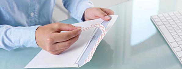 Image du produit Elco Enveloppe Premium (C4, 250 x)