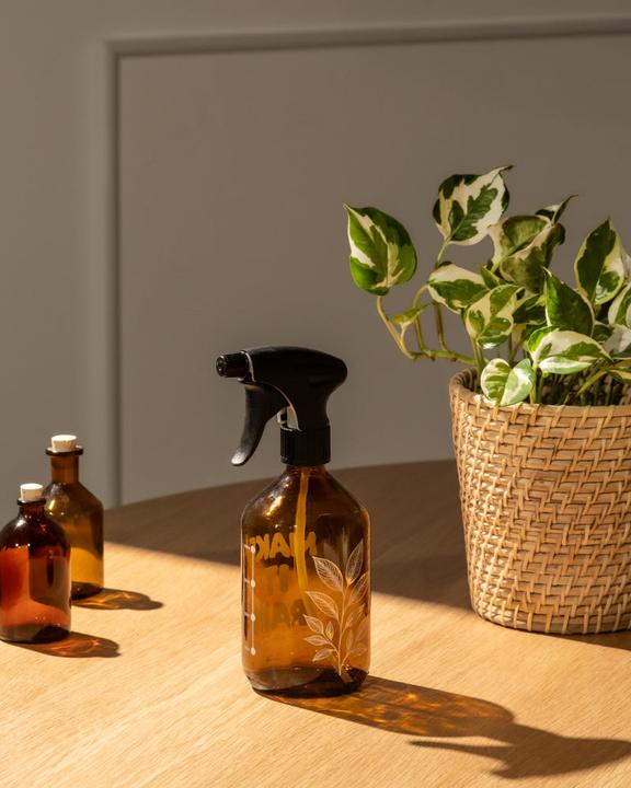 Actual product image feey Plant sprayer (0.50 l)