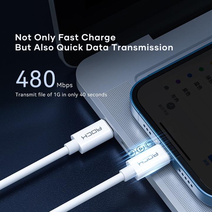 Immagine prodotto Rock - Multifunktionales Aufbewahrungs-Set - USB-C PD Kabel (60W), SIM-Fach und Adapter (0.25 m, 60 W)