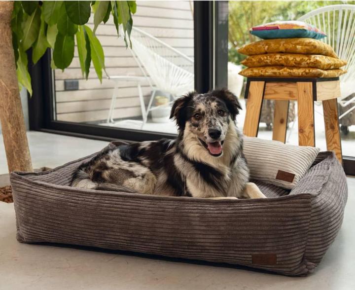Actual product image Designed by Lotte Ribbed (Dog)