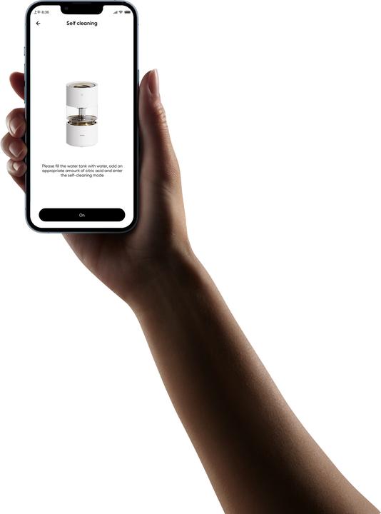 Actual product image Xiaomi Rainforest