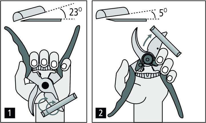 Actual product image Felco 12 Gartenschere