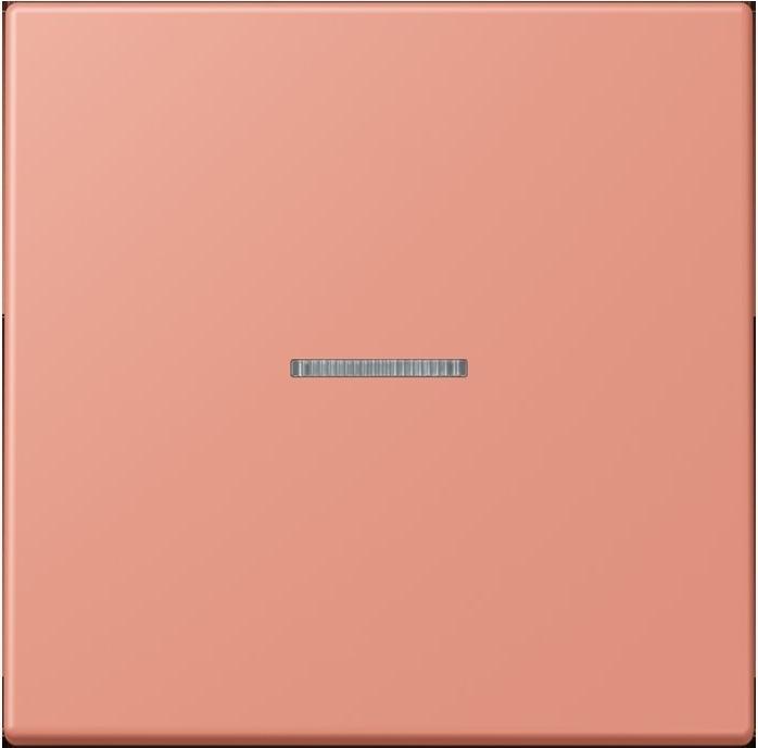 Produktbild JUNG Wippe 1fach m. Lichtleiter